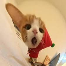 Daniel Villanueva avatar